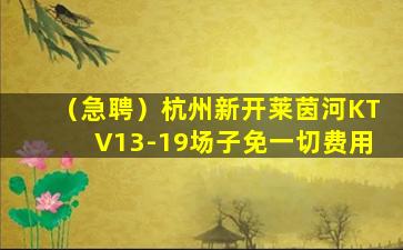 河南酒吧招聘